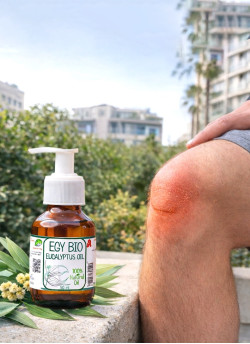 (B10)ايجي بيو زيت الكافور  ١٢٥ مل