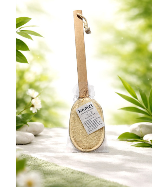 ليفة بيضاوية بعصاية (M1)